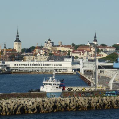 P10602081