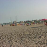 Dsc00010