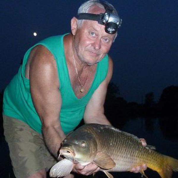 Fische aller Größen