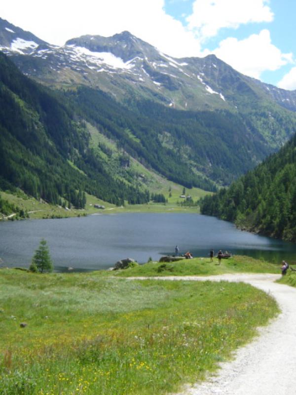 Berichte 2008