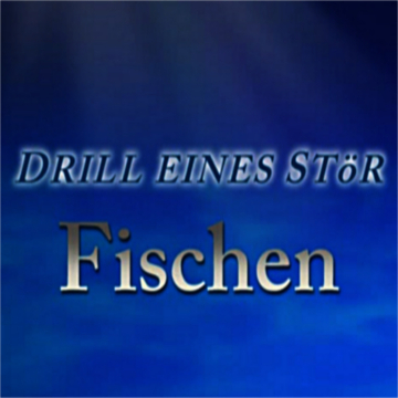 Drill eines Stör